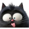 Mishi black 13
