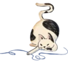 Cats FH + Kotletasag 8