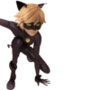 Cat Noir - Miraculous : @Characters_stickers 9