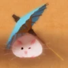 Cute Hamster 1 9