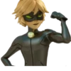 Cat Noir - Miraculous : @Characters_stickers 13