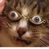 Cats ,,, @MoodPacks 15