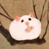 Cute Hamster 1 15