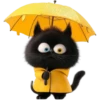 Mishi black 17