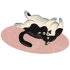Cats FH + Kotletasag 10