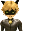 Cat Noir - Miraculous : @Characters_stickers 15
