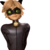 Cat Noir - Miraculous : @Characters_stickers 16