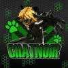 Cat Noir - Miraculous : @Characters_stickers 17