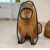 ‣ Capybara :🪨: @jichulan ♡‌ 16