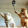 Cats ,,, @MoodPacks 19