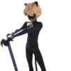 Cat Noir - Miraculous : @Characters_stickers 19