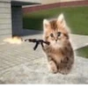 Catscatscats :: @fStikBot 7