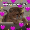 Cats ,,, @MoodPacks 23