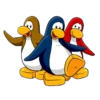 Club penguin 23