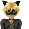 Cat Noir - Miraculous : @Characters_stickers 20