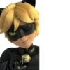 Cat Noir - Miraculous : @Characters_stickers 21