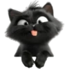 Mishi black 25