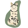 Cats FH + Kotletasag 16