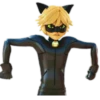 Cat Noir - Miraculous : @Characters_stickers 23