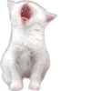 Cutie Cats @SbornikStickers 17