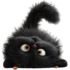 Mishi black 27