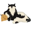 Cats FH + Kotletasag 17