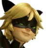 Cat Noir - Miraculous : @Characters_stickers 24