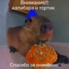 ‣ Capybara :🪨: @jichulan ♡‌ 27