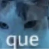 Catscatscats :: @fStikBot 12