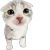 Cutie Cats @SbornikStickers 20