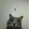 Catscatscats :: @fStikBot 13