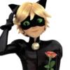 Cat Noir - Miraculous : @Characters_stickers 25