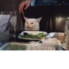 cats^3 8