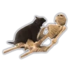 @stickers_and_aesthetics 9