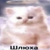 emotionaldie 10