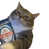 cats cats cats! 10