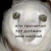 БYлR топ (@i_Love_Akame) 15