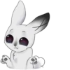 weird bunny 12