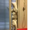 cats^3 17