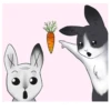 weird bunny 18