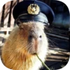 Капибарность @Capybaraness 18