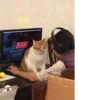DEFEAT