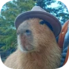 Капибарность @Capybaraness 20