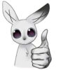 weird bunny 24