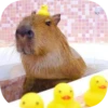Капибарность @Capybaraness 26