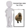 Капибары by @tiktok4memes 20