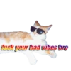 cats cats cats! 27
