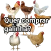 Caguei duro doeu o cu by @raivozo 4