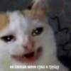 ❤️ @stikersvtg_bot - Создай свой стикерпак 7