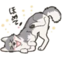 Cute wolf family 5